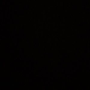 Meet your Posher, Sandy